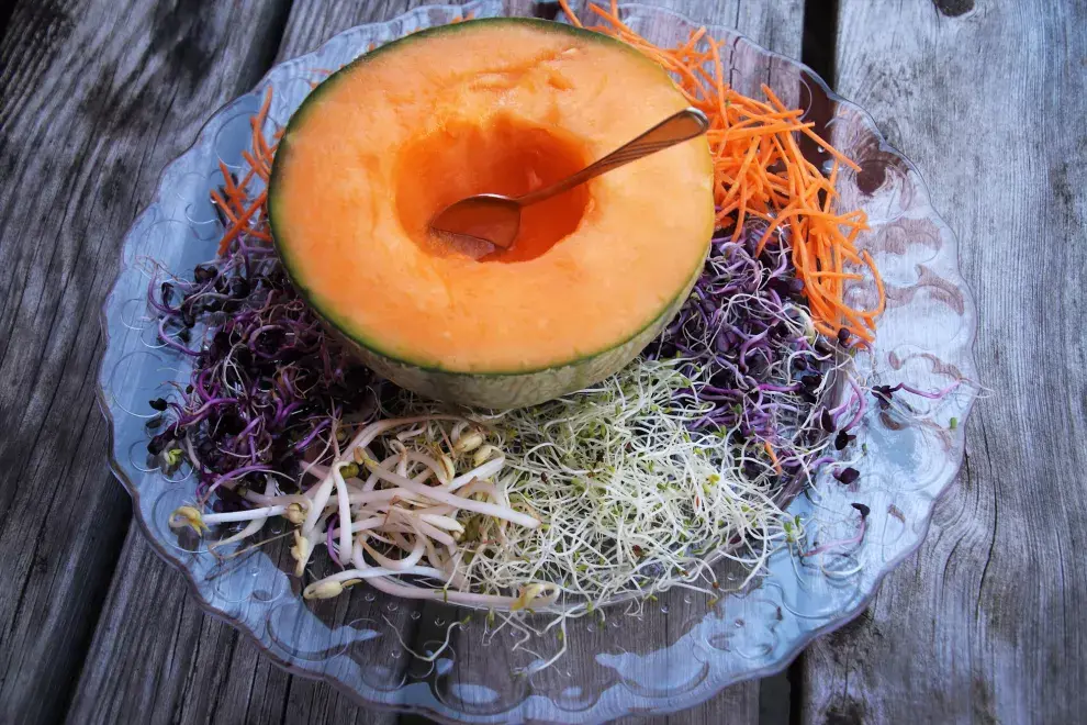 Melón, una de las frutas ideales para el verano