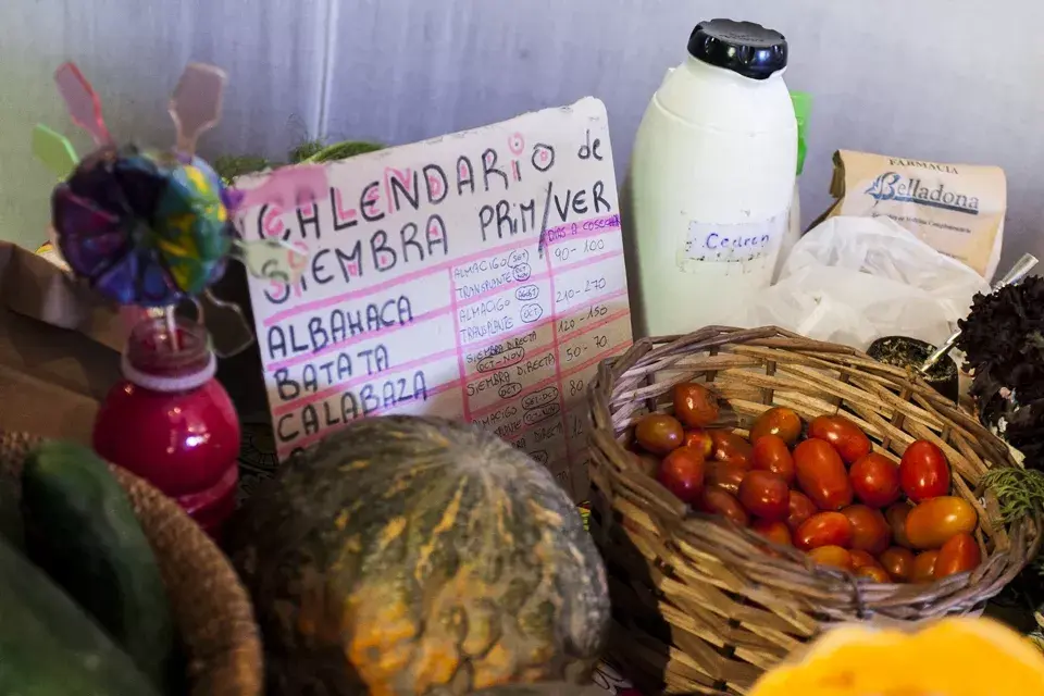Frutas y verduras orgánicas y de estación