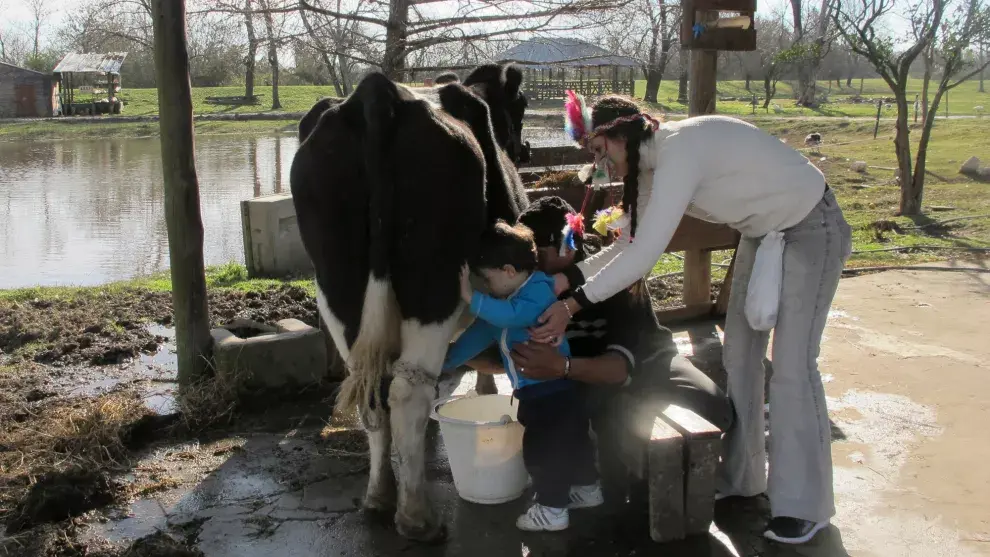 Un día de granja en Pequeña Holanda