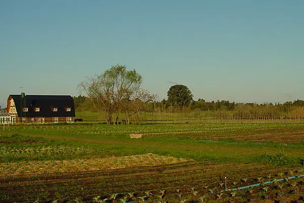 El campo donde se cultivan los productos