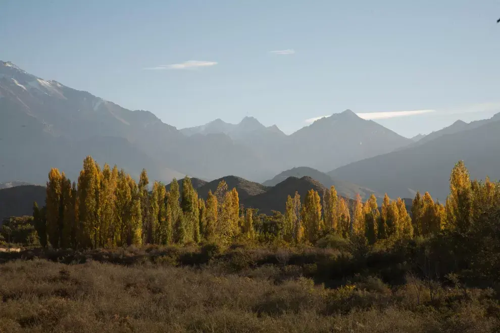 Tupungato, en el Valle de Uco. Denise Giovaneli