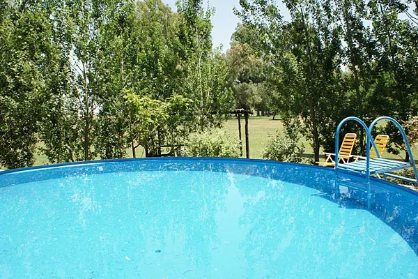 ¡Dan ganas de tirarse!