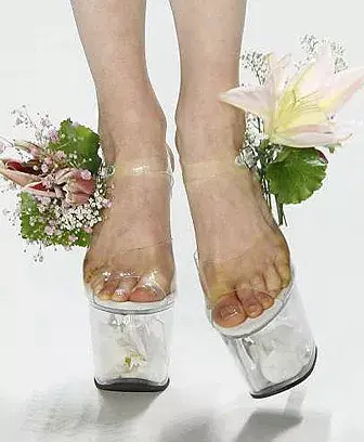 Dos por uno. Zapatos florero, diseño de Scherer González
