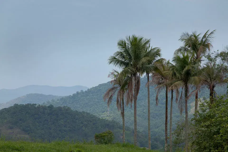 La densa mata atlántica rodea la ciudad de Paraty