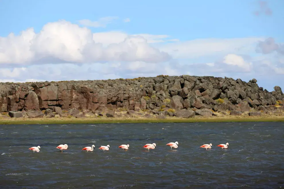 Es una de las áreas protegidas más nuevas de la Argentina, con volcanes, cañadones, especies en peligro de extinción y petroglifos de 3000 años