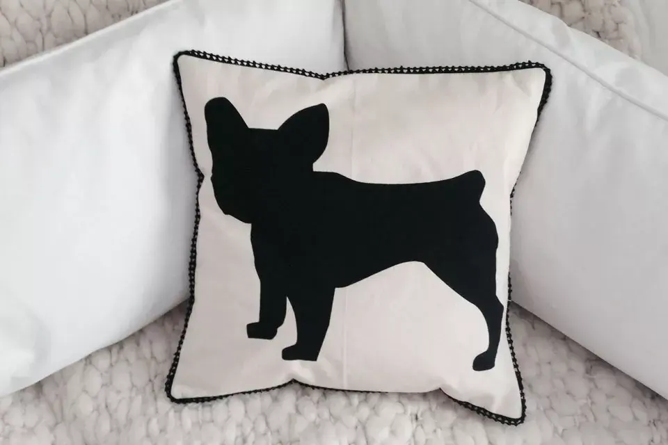 Almohadon Bulldog (Gorsh.com,  $330)