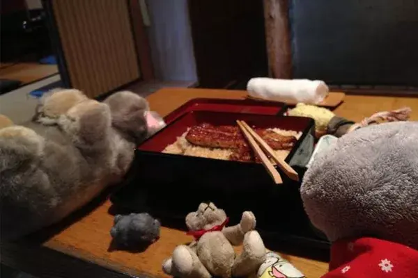 Después de una gran comida, a dormir la siesta