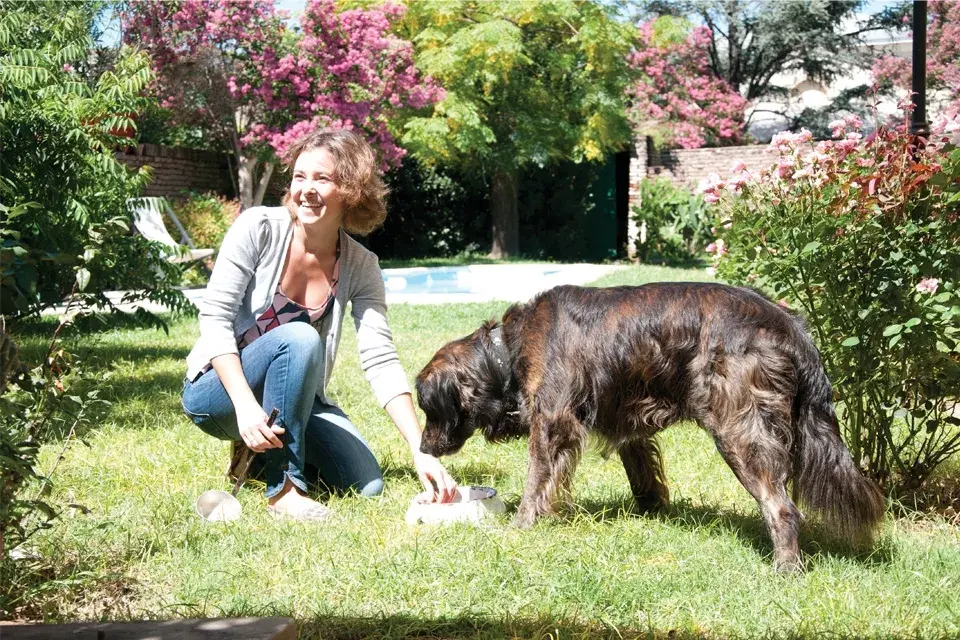 A Pipo lo trajeron apenas se mudaron, de un hogar de perros abandonados de Pergamino, y es una inmensa compañía