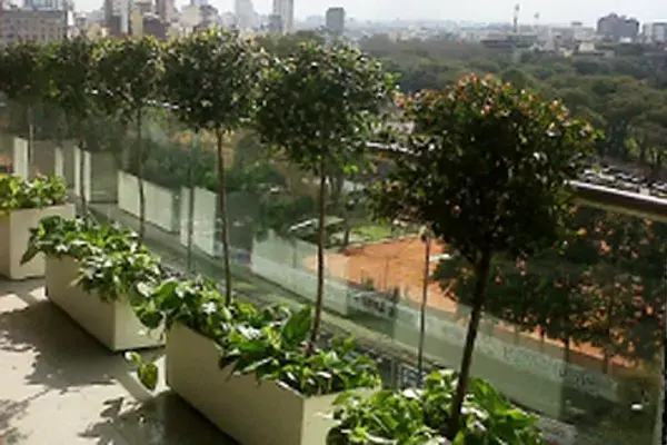 Con pequeños árbolitos podés lograr una escala interesante