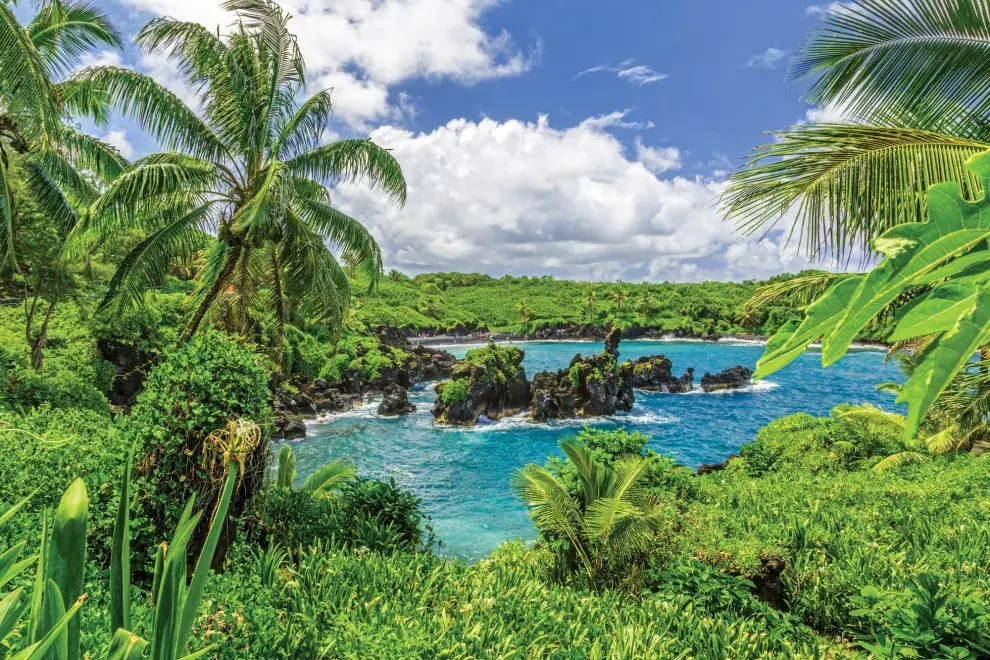 Camino a hana se puede visitar el parque Wai’anapanapa.