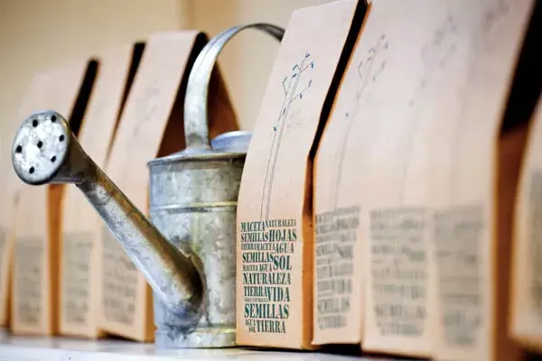 Divina la decoración, onda minimarket