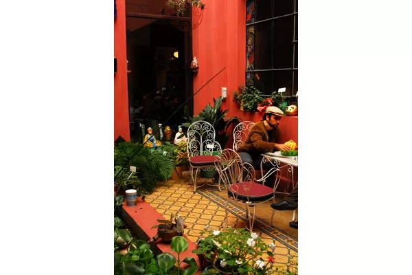 Podés decorar tus espacios interiores con plantas al estilo de un patio