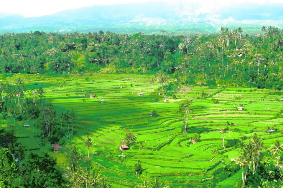 Bali. Foto: Cintia Kemelmajer.
