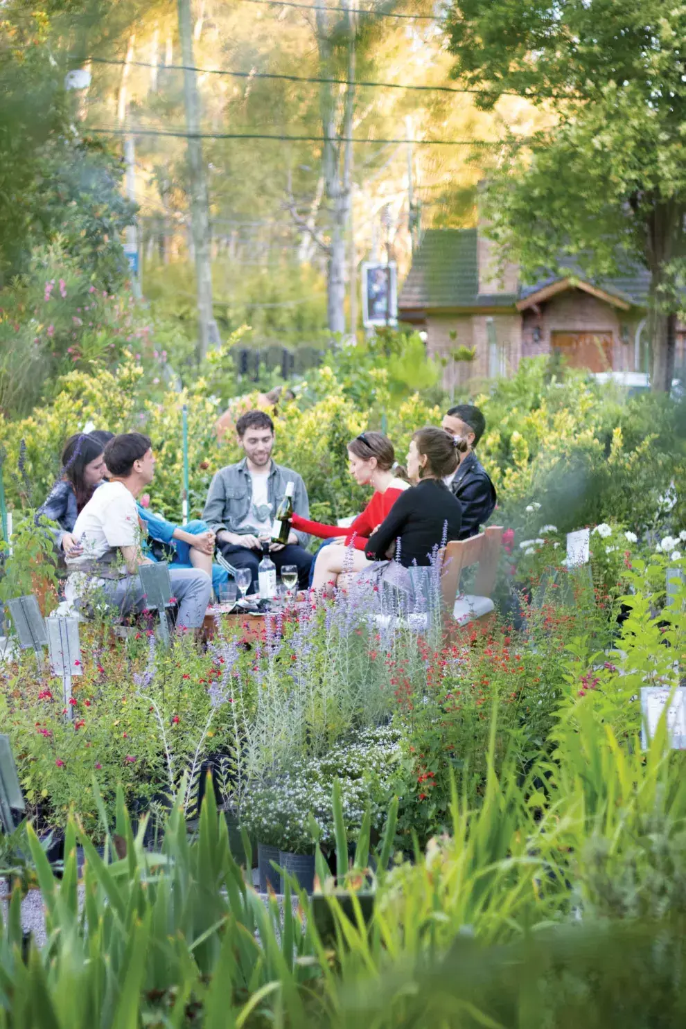 Restaurantes rodeados de verde
