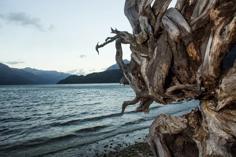 Lago Rivadavia. Foto: Gustavo Castaing