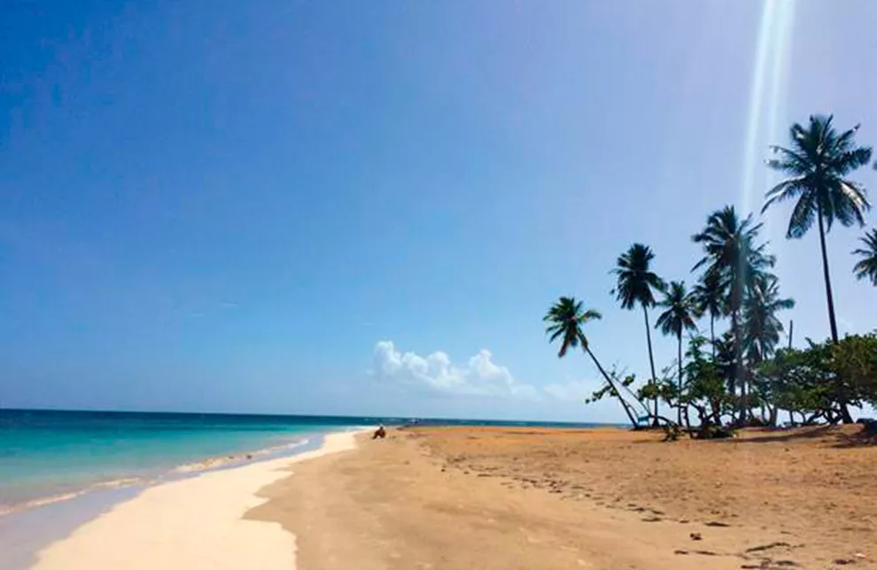 Playas vírgenes interminables: un paisaje común en Dominicana