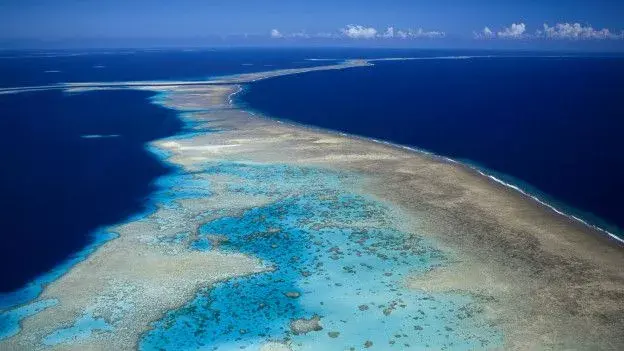 Esto es lo que queda de una de las islas Salomón que están siendo engullidas por el mar.