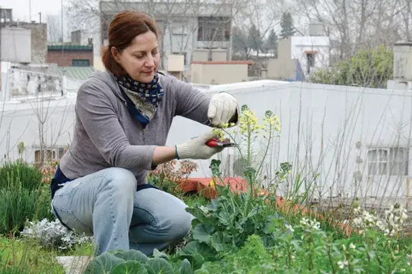 Cuidar tu jardín te ayuda a relajarte y elimina el estrés