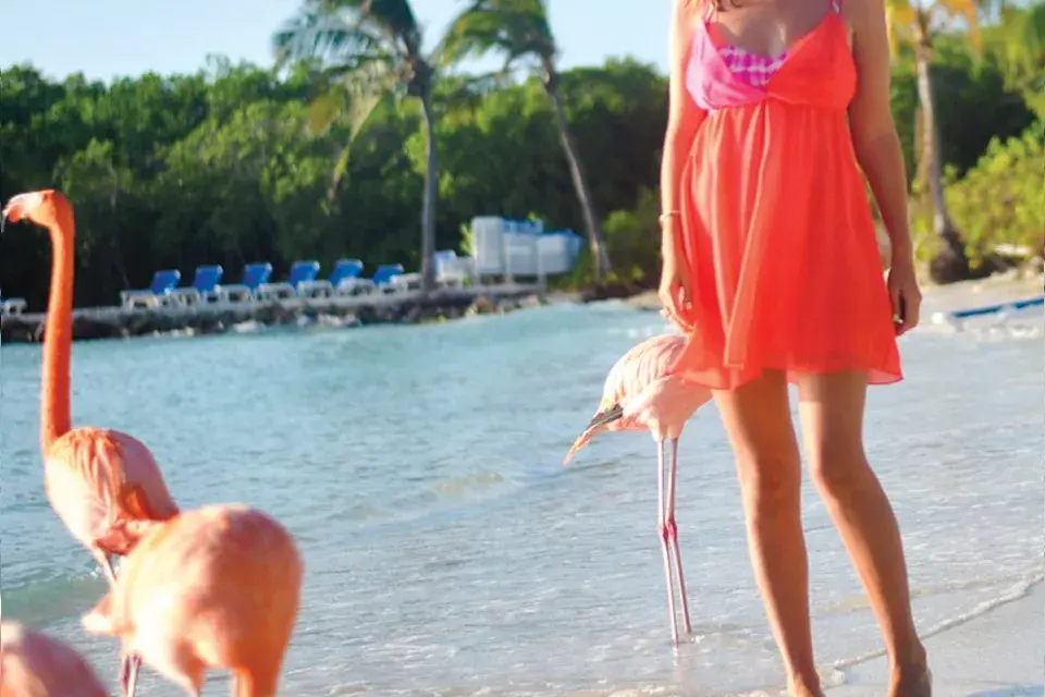 Postales de Lulu Biaus, exbloguera de Oh my blog, de ohlalá! online, ahora sigue compartiendo su mirada desde su Facebook e Instagram