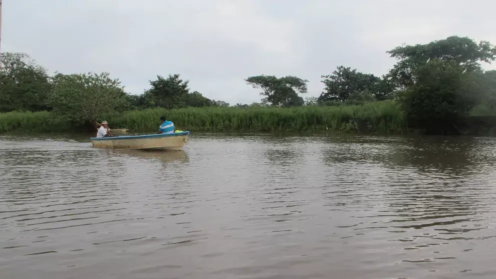 Caño Negro, ideal para la observación de aves y animales