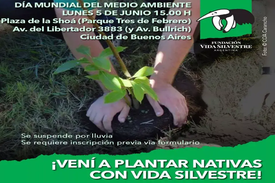 Una invitación especial para el Día Mundial del Medio Ambiente.