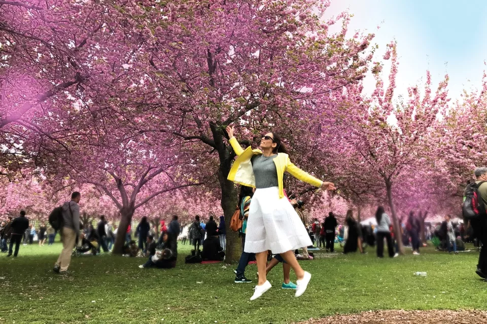 Instatrip: celebrando los ciclos de la vida y el florecer con los cerezos de Brooklyn