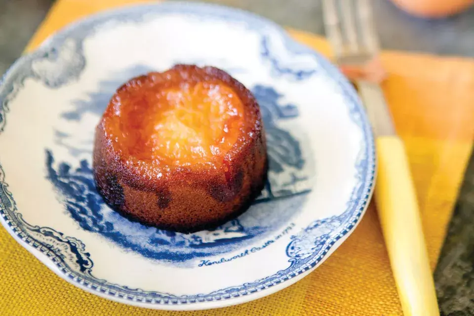 Invertida de damascos