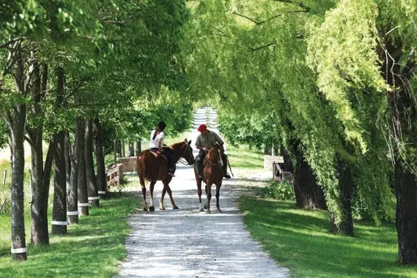 Al lado del Paraná, San Pedro invita a desconectarse