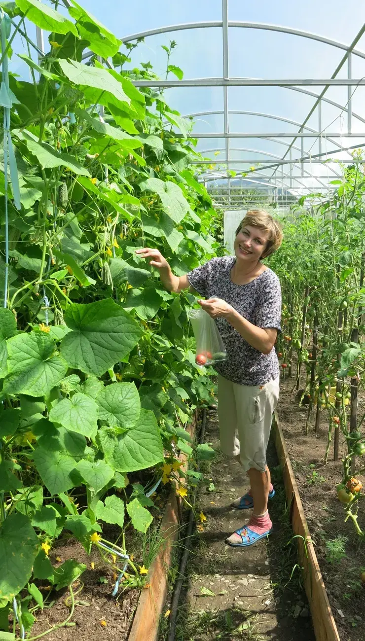 La "dacha", casa de fin de semana o quinta, toda una institución rusa