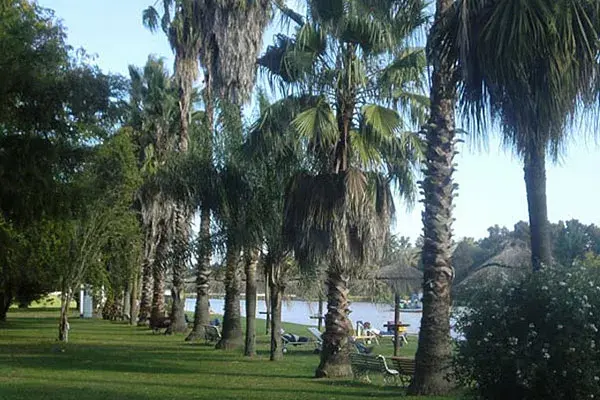 Podés elegir pasar el día bajo la sombra de los árboles o tomar sol junto al río