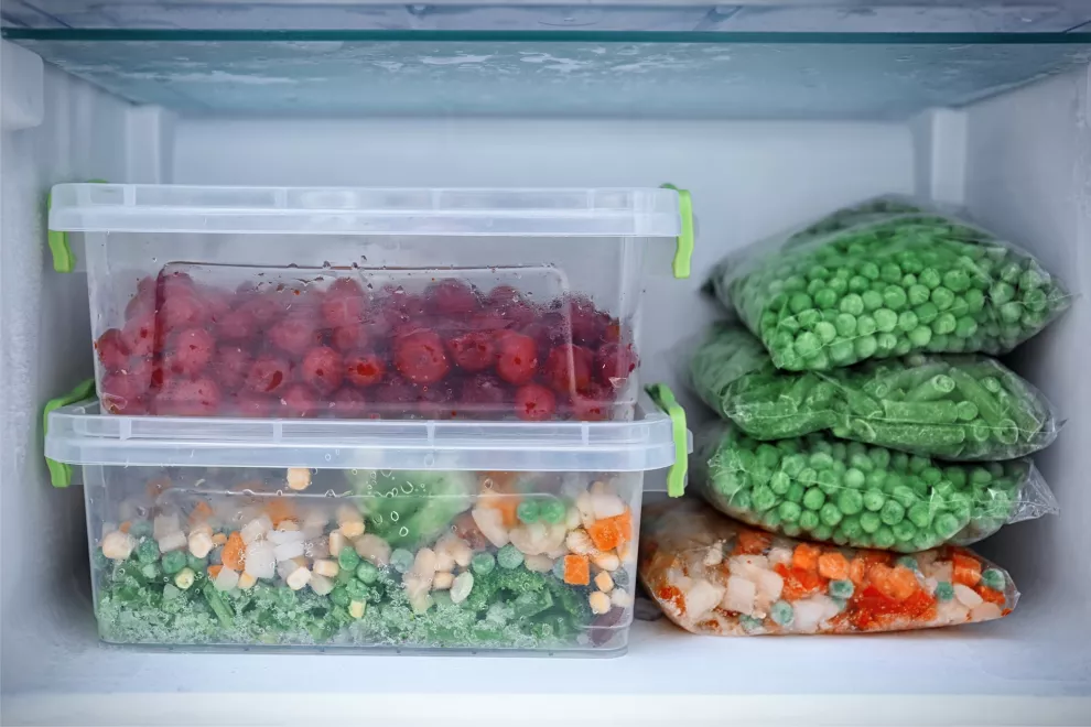 Guía para hacer del freezer tu aliado fundamental a la hora de almacenar la comida en casa.