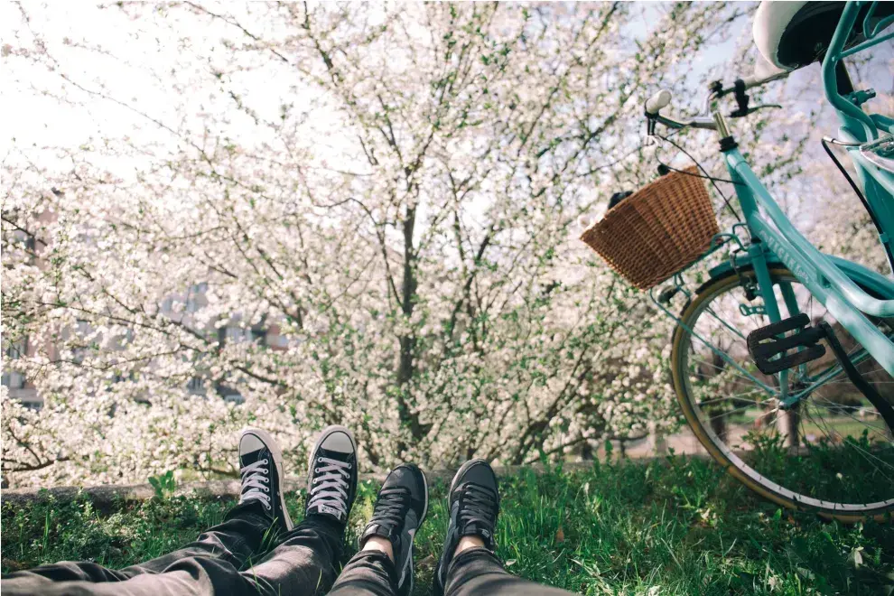 La primavera es la estación ideal para renacer y revitalizarnos.