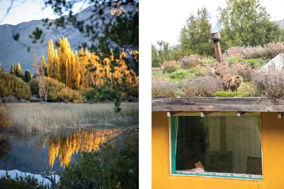 Techo vegetal (con visitantes y todo) en la casa en la que viven sus padres. El de la casa de Jade es de chapa. 