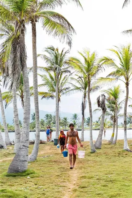 Atípico viaje al Caribe: Carrera lleva el agua por 8 km