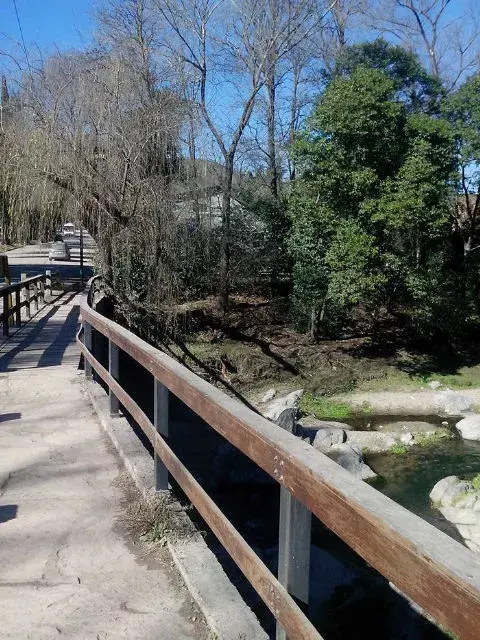 Puente al sol.