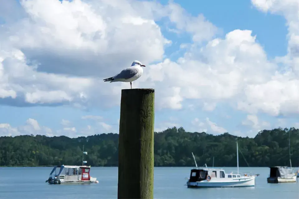 Omaha Beach para recorrer en barco
