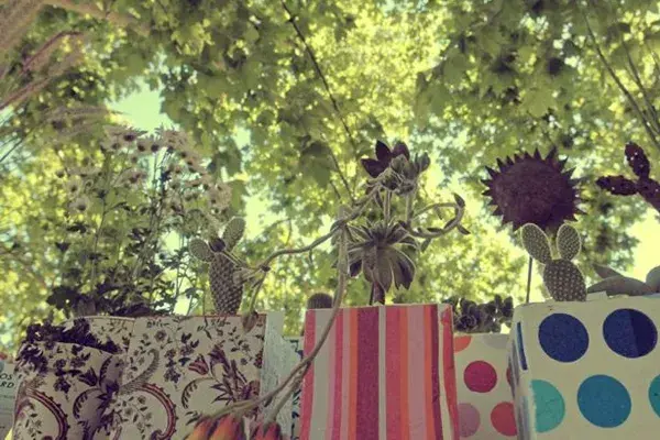 Una opción sustentable para regalar en estas fiestas