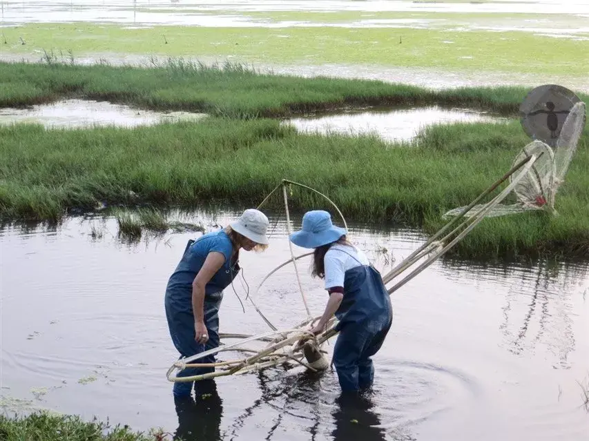 Un pantano en Taiwán: meta de la escultora Aranovich