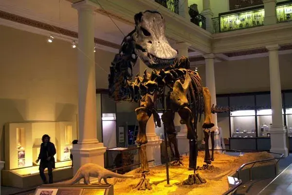 El Museo de Ciencias Naturales de La Plata es más que un clásico