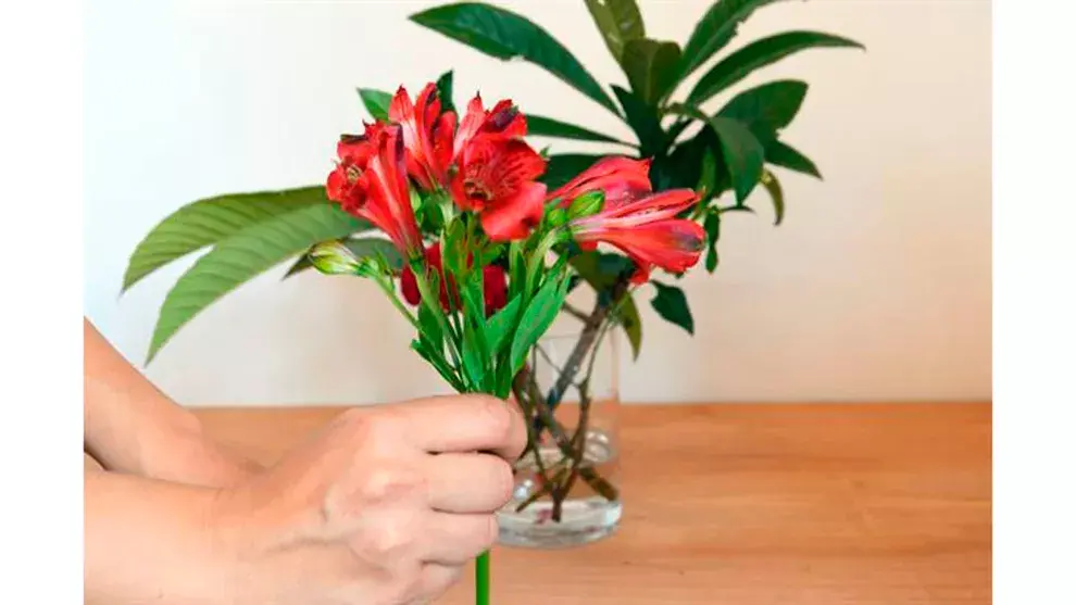 Cortá los tallos de las flores, uno por uno según la medida del florero y después ubicá las flores de acuerdo al dise?o elegido (Paso 5)