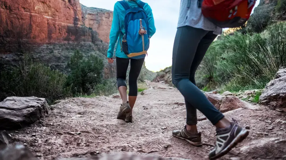 Las caminatas son ideales para recorrer algunos tramos del parque. Para el resto, se pueden utilizar los ómnibus gratuitos