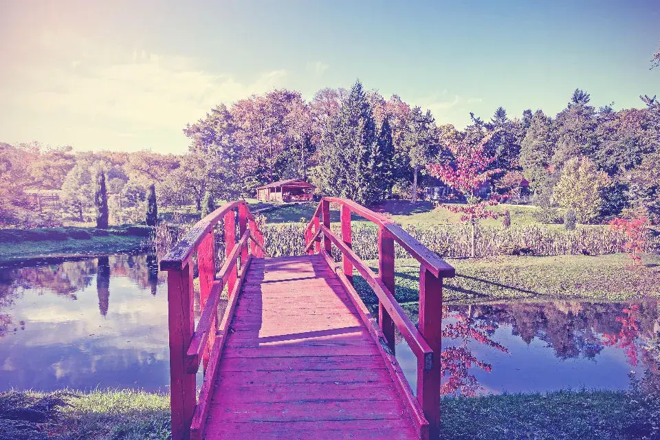 Ikigai, el secreto para una vida larga y feliz. Foto: Latin Stock