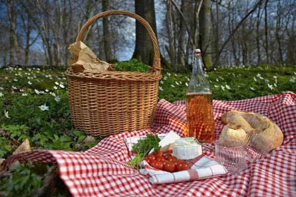 También podés hacer un picnic clásico pero con estilo