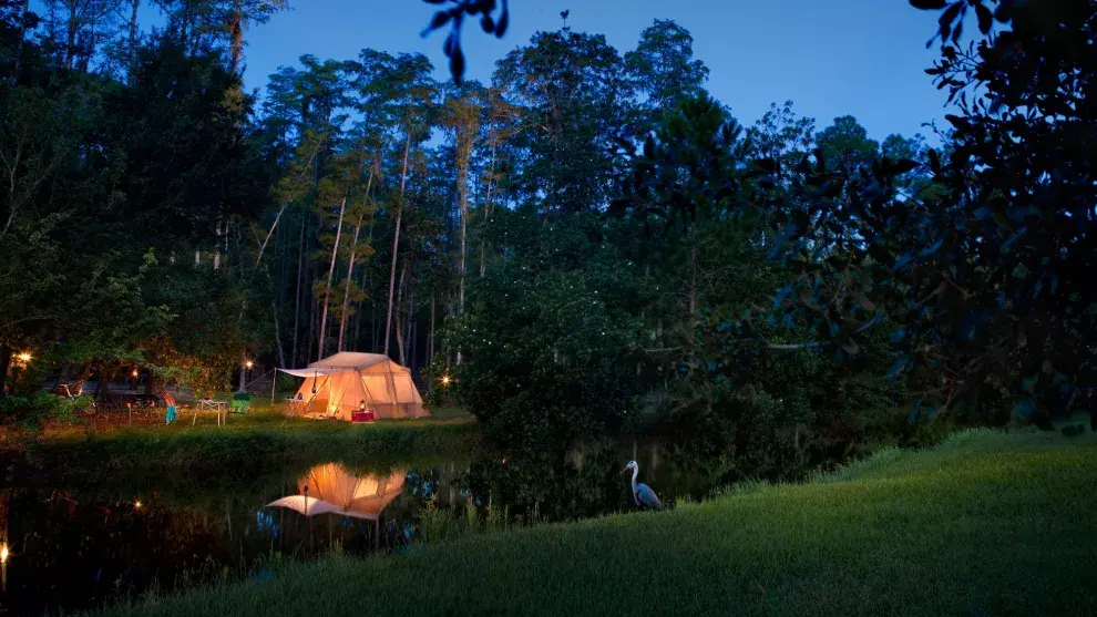 Además del espacio para acampar, el parque alquila también carpas y catres