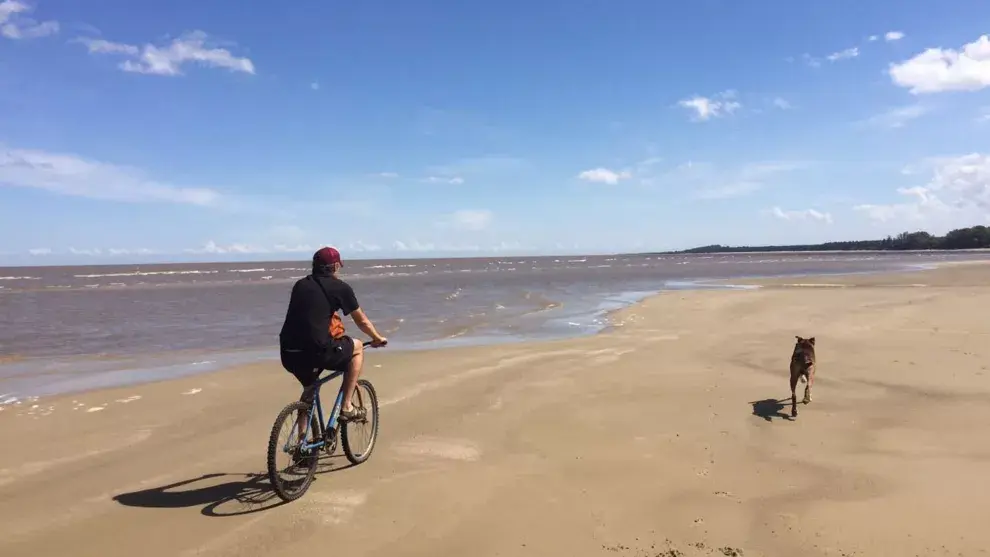Manso y tranquilo, en la extensa playa de Santa Ana