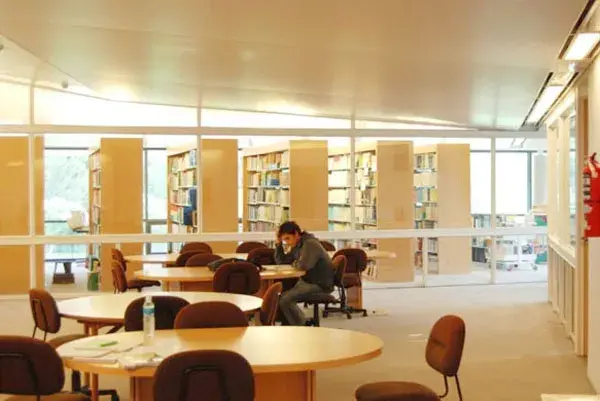 La luz y el verde entran por las ventanas, mientras los estudiantes se concentran en sus libros