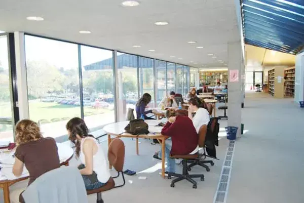 La luz y el verde entran por las ventanas, mientras los estudiantes se concentran en sus libros