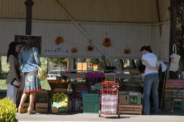 Una opción sustentable para regalar en estas fiestas