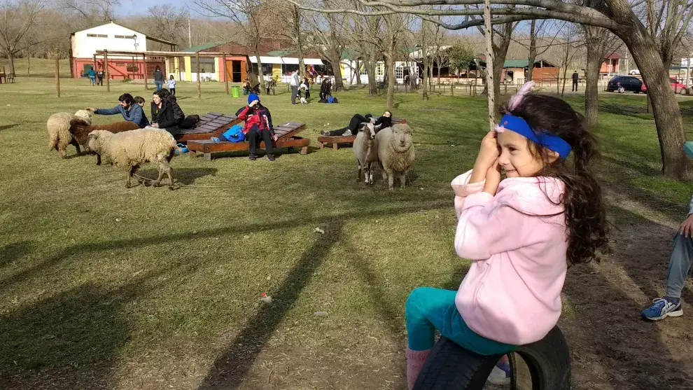 Un día de granja en Pequeña Holanda