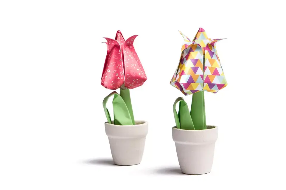 Macetas (Ver Diseño de Autor by Dreams and Paper,  $88)